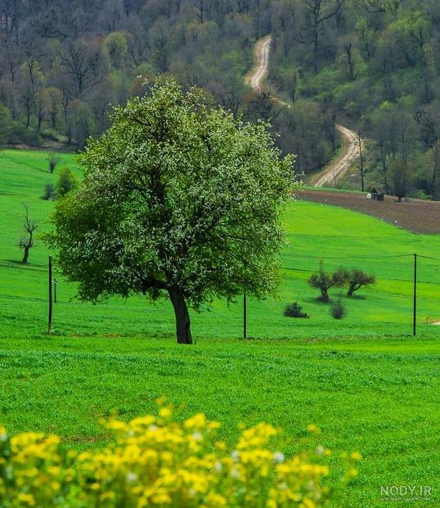 جاهای دیدنی ساری تا بابلسر ⚡ عکس و آدرس - بلاگ ایران هتل آنلاین جاهای دیدنی ساری تا بابلسر ⚡ عکس و آدرس - بلاگ ایران هتل آنلاین