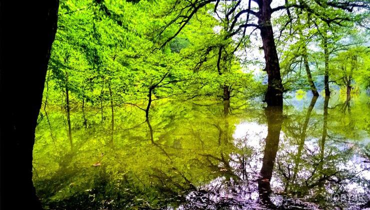 جاهای دیدنی ساری: جاذبه های تفریحی با لوکیشن و عکس | مجله علی بابا جاهای دیدنی ساری: جاذبه های تفریحی با لوکیشن و عکس | مجله علی بابا
