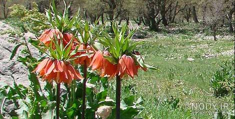 جاهای دیدنی لرستان