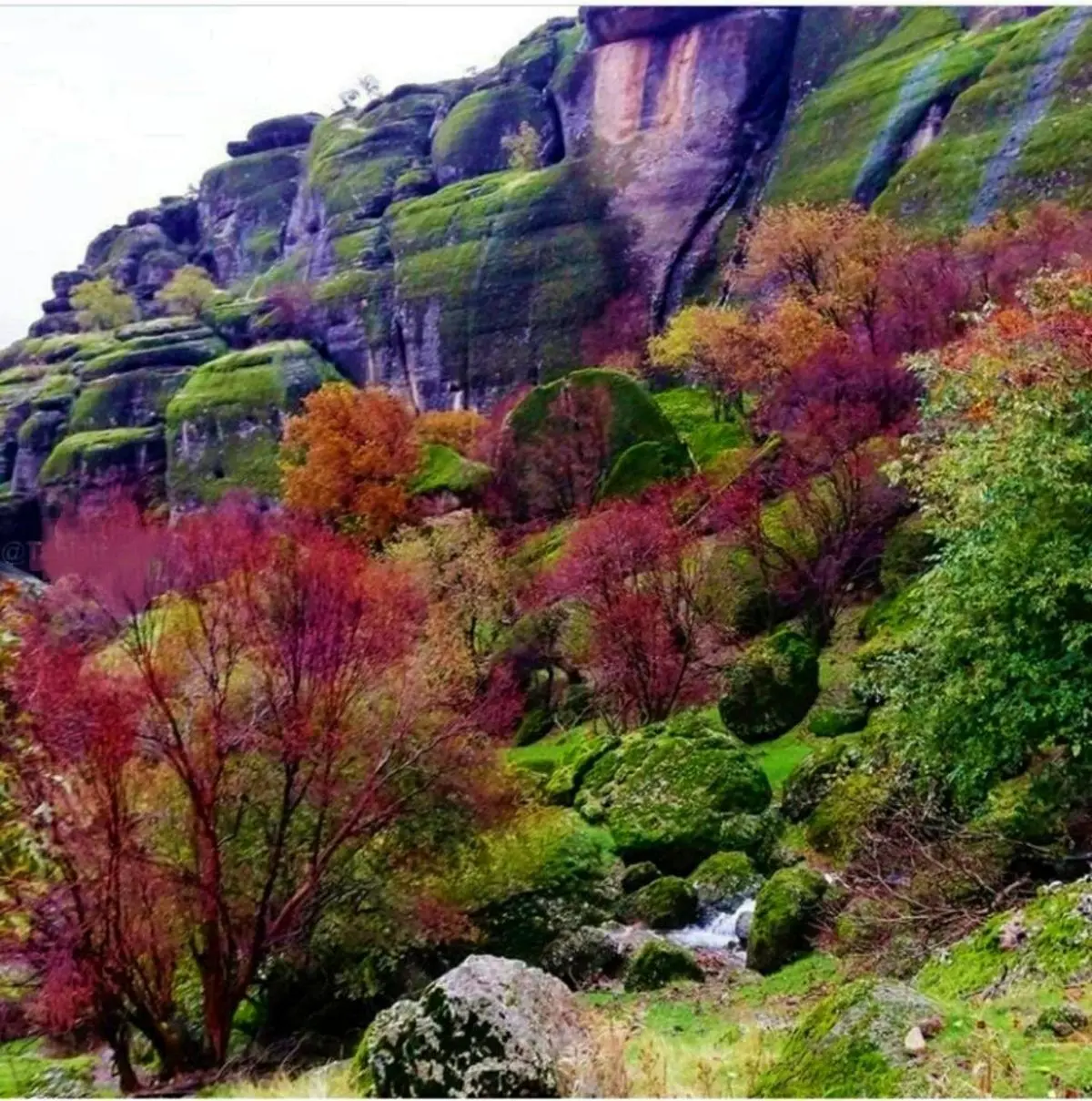 جاهای دیدنی لرستان ، مجموعی از شگفتی‌های طبیعی و تاریخی | جاباما