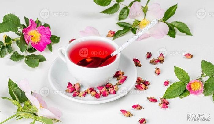 خرید آنلاین شاخه گل رز هلندی قرمز کد 7054 | سولین بازار خرید آنلاین شاخه گل رز هلندی قرمز کد 7054 | سولین بازار