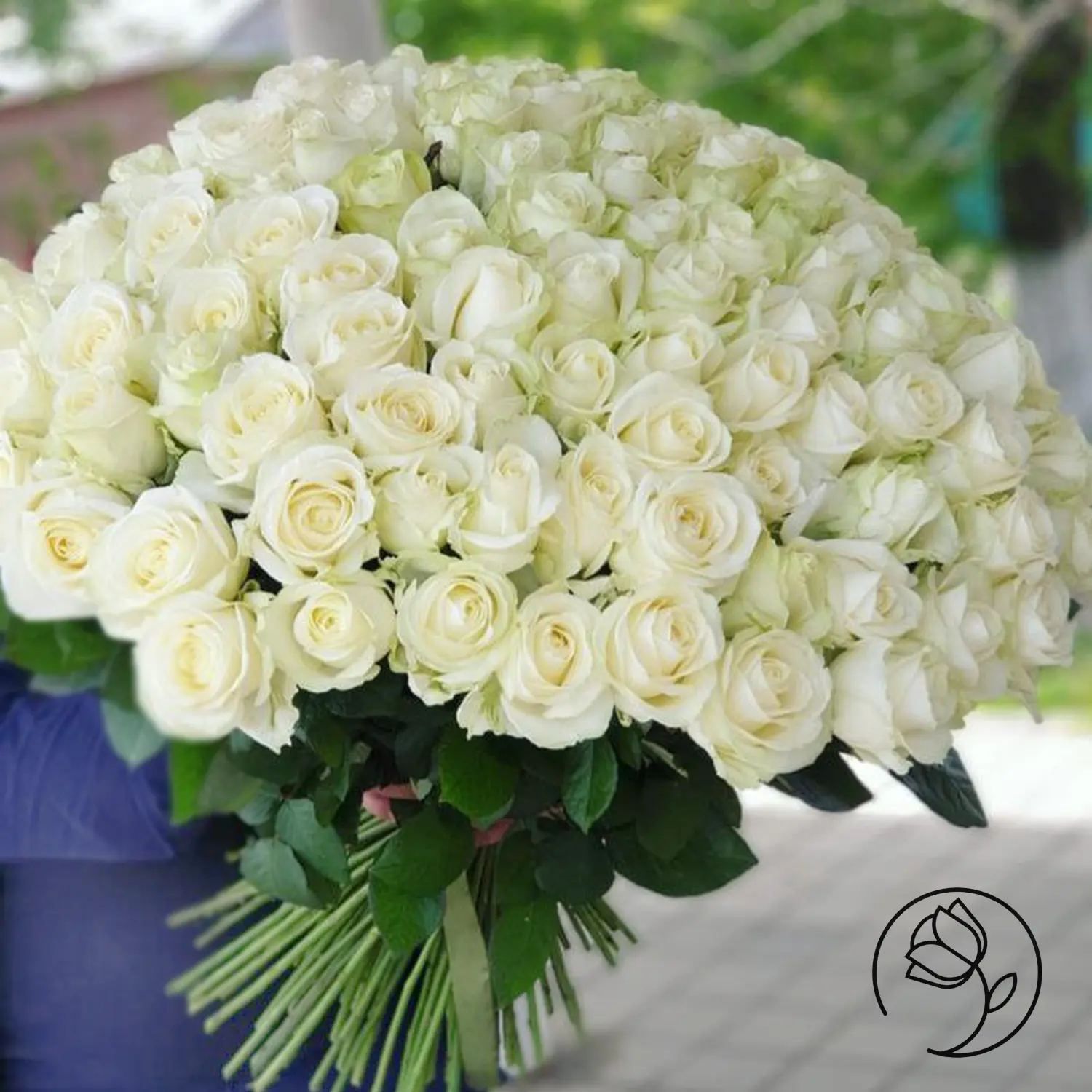 خرید سبد گل بزرگ رز هلندی 400 شاخه ای قرمز + مطابق عکس - VIP خرید سبد گل بزرگ رز هلندی 400 شاخه ای قرمز + مطابق عکس - VIP