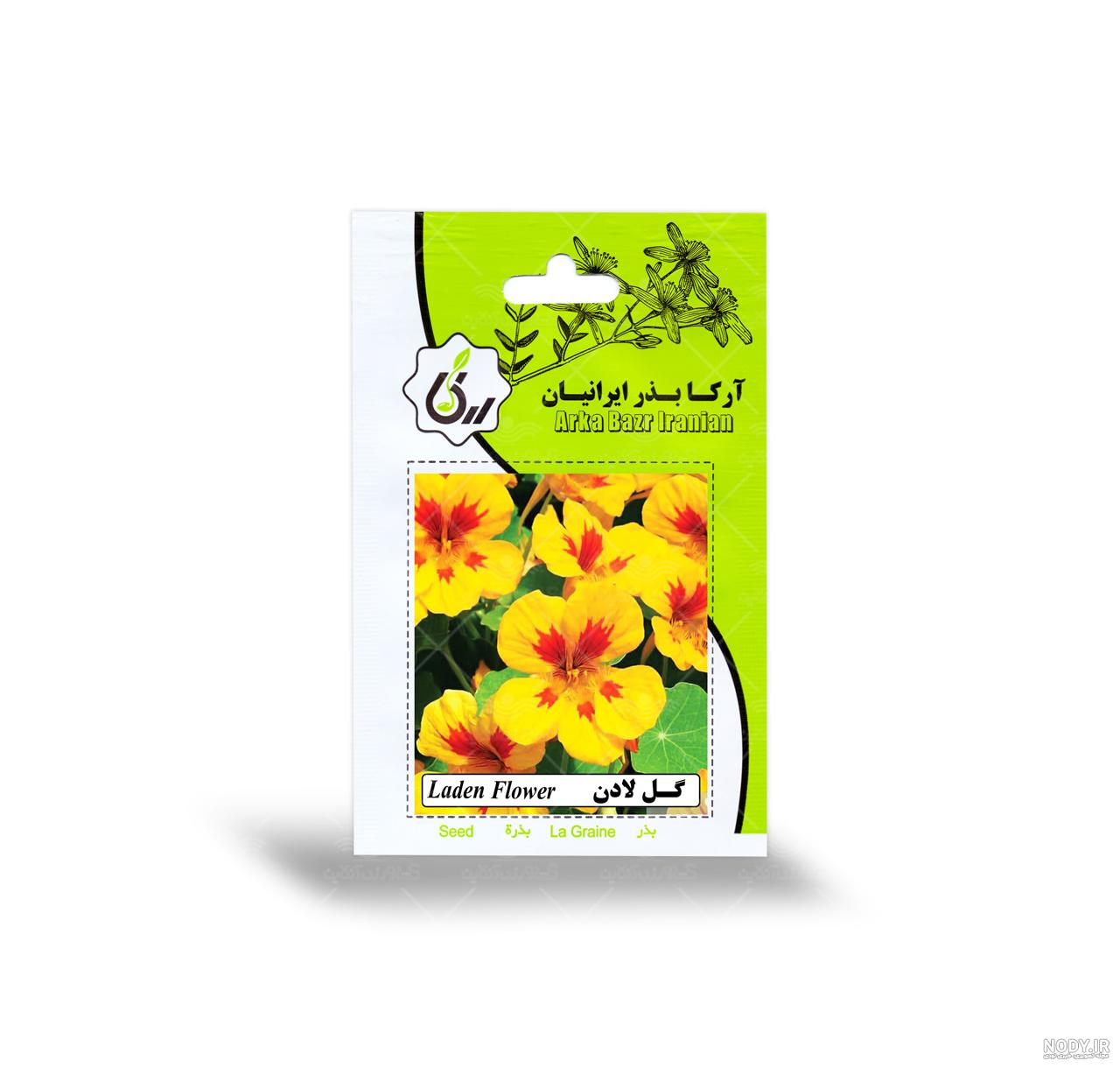 خرید و قیمت نشا گل لادن خوراکی آماده کشت | کشاورزی خاص