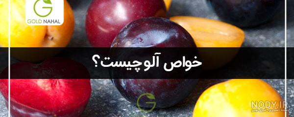 خرید نهال آلو سیاه + قیمت - نهالستان بهمن آبادی خرید نهال آلو سیاه + قیمت - نهالستان بهمن آبادی