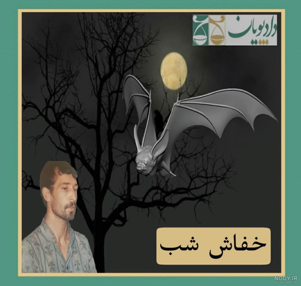 خفاش شب های تهران خفاش شب های تهران
