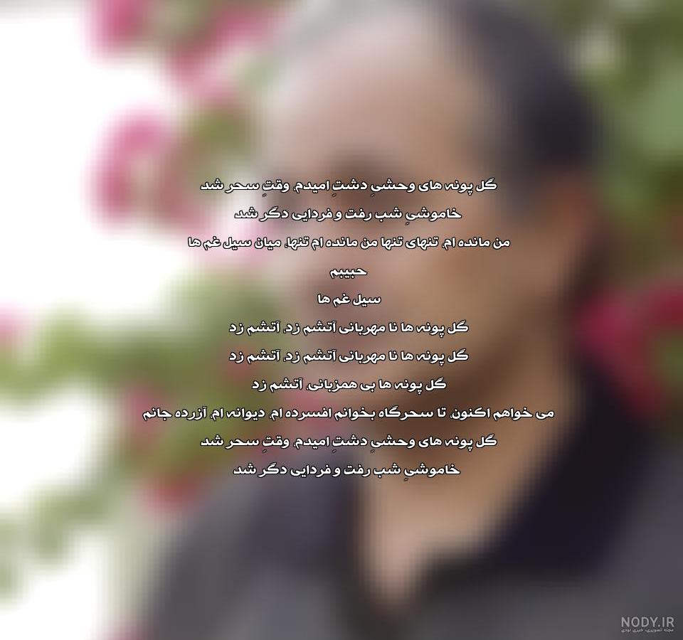 خواص پونه کوهی؛ 7 خاصیت درمانی اوریگانوم ولگار و روغن آن را بدانید! خواص پونه کوهی؛ 7 خاصیت درمانی اوریگانوم ولگار و روغن آن را بدانید!