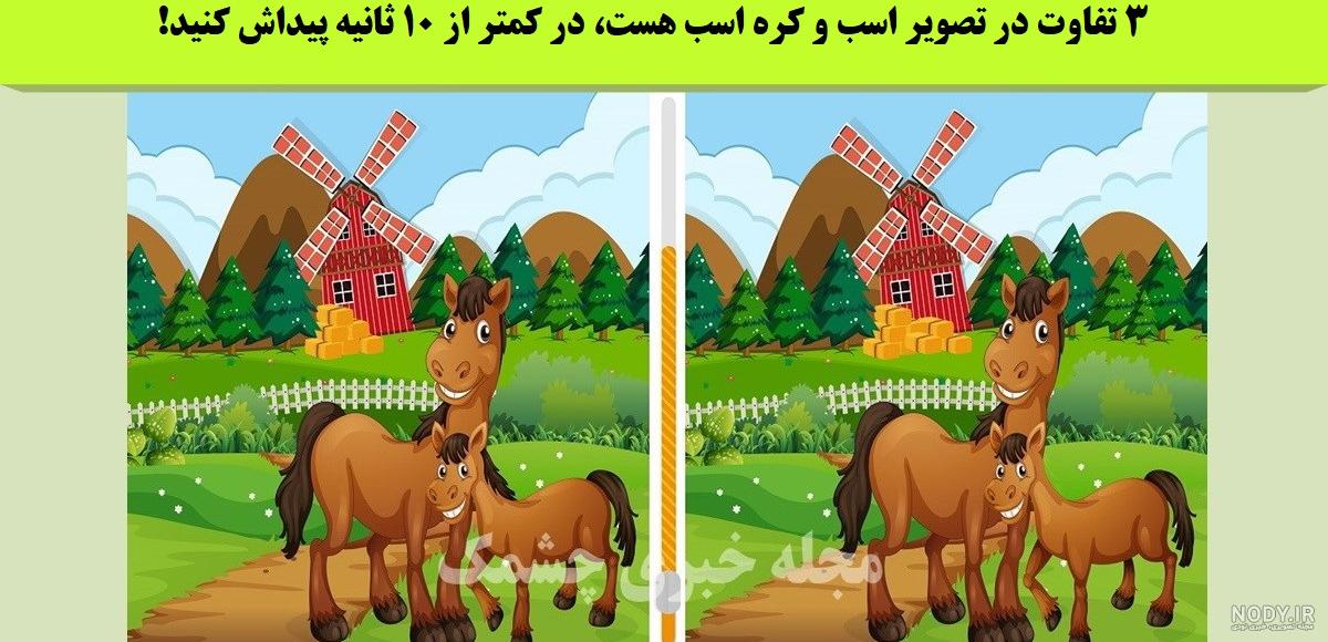 دانستنی های جالب درباره اسب ها دانستنی های جالب درباره اسب ها