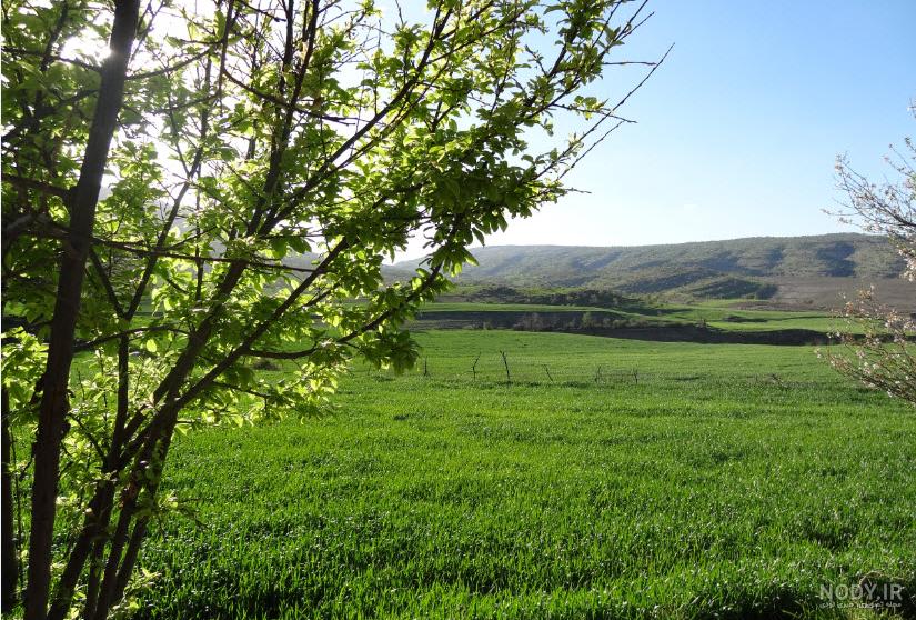 سفر به کوهدشت+ تصاویر | پایگاه خبری جماران سفر به کوهدشت+ تصاویر | پایگاه خبری جماران
