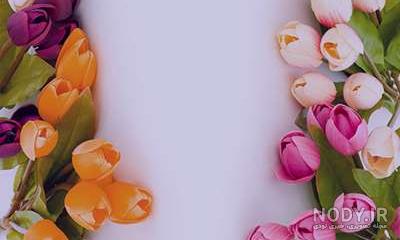 طبقه بندی مهارت های حرکتی | مرجع دانلود پاورپوینت طبقه بندی مهارت های حرکتی | مرجع دانلود پاورپوینت