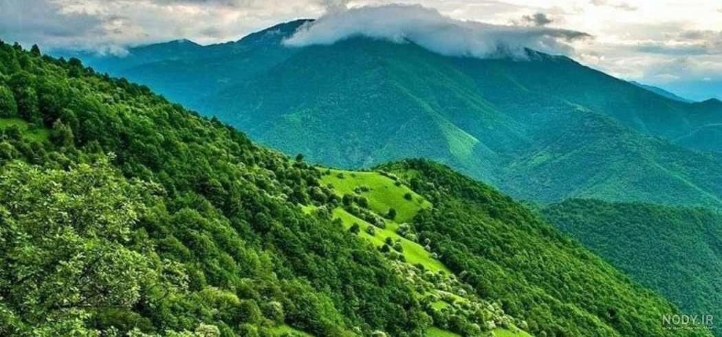 طبیعت جنگل های ارسباران - تبریز (عکس)