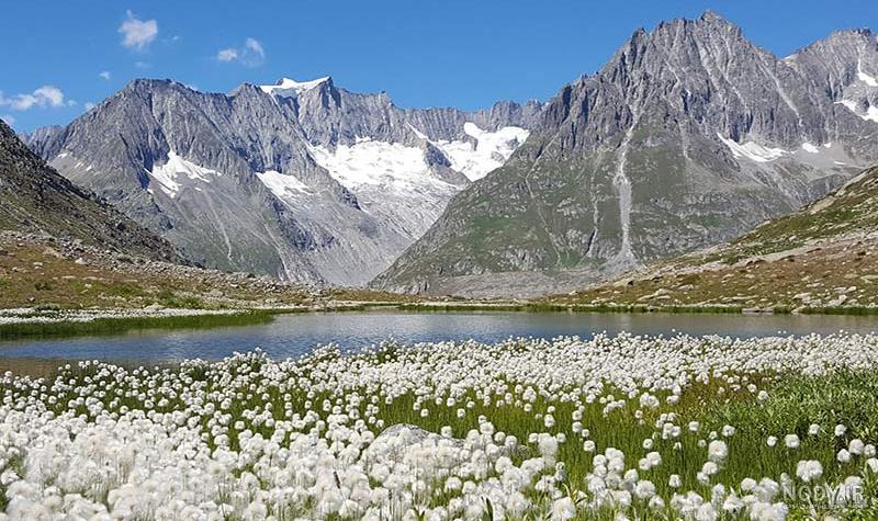 طبیعت سوئیس | عکس از طبیعت زیبای اروپا