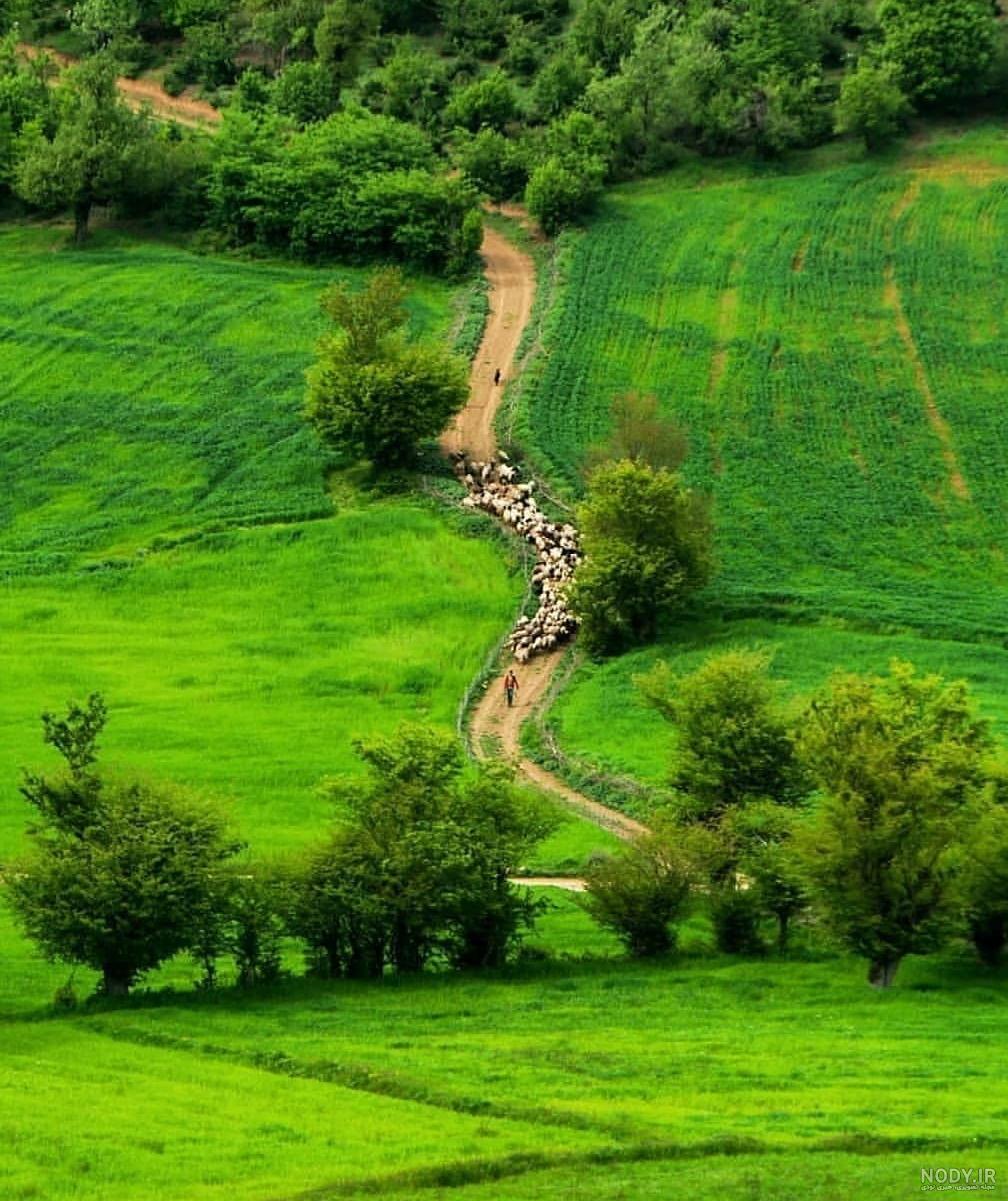 طبیعت پاییزی چهاردانگه ساری طبیعت پاییزی چهاردانگه ساری