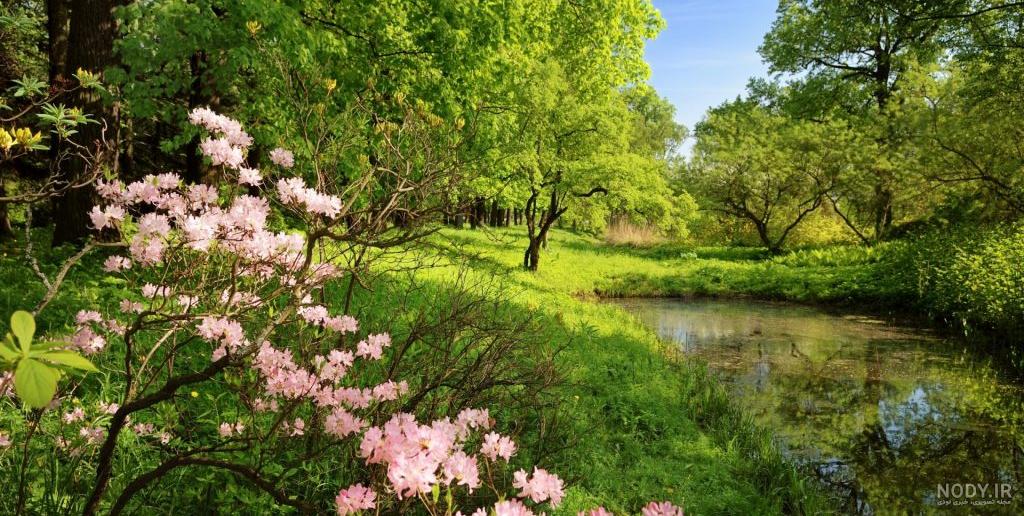 عکس های آرامش بخش از طبیعت زیبای دنیا (8) عکس های آرامش بخش از طبیعت زیبای دنیا (8)