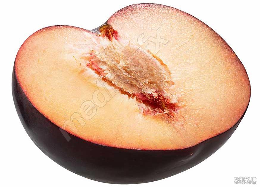 عکس از آلو سیاه عکس از آلو سیاه