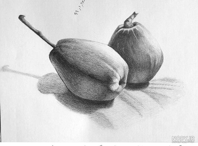 عکس از طبیعت برای طراحی