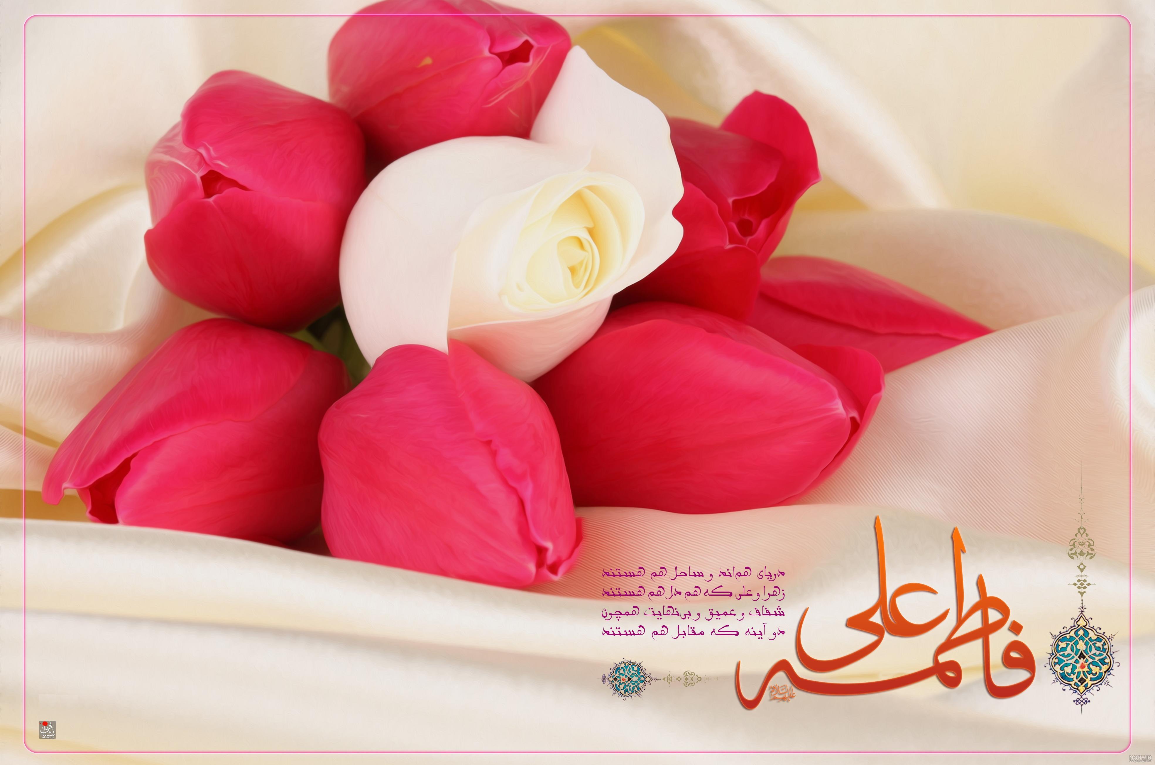 عکس ازدواج امام علی و فاطمه