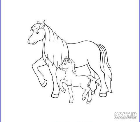 عکس اسب برای بچه ها عکس اسب برای بچه ها