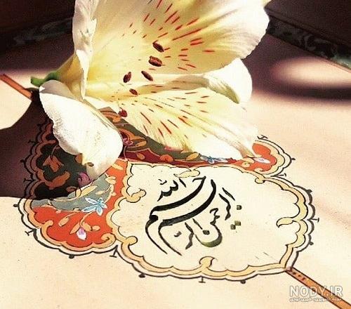 عکس با کیفیت ذکر بسم الله رحمان رحیم به همراه گل مرغ و کادر طلایی رنگ – عکس  با کیفیت و تصاویر استوک حرفه ای