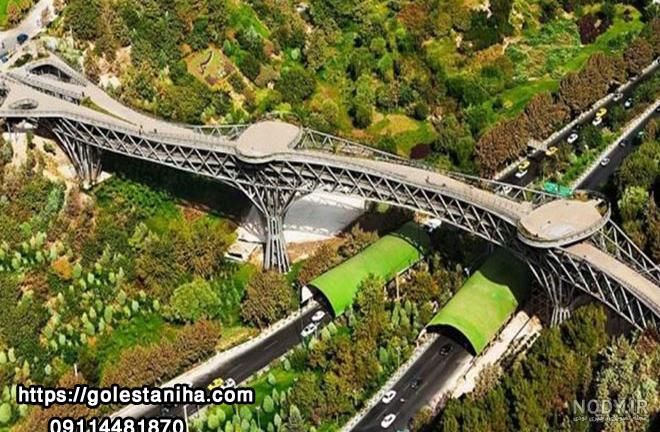 عکس های برگزیده پل طبیعت در شب - آیتوریسما: برگزار کننده چالش ها و مسابقه  های عکاسی