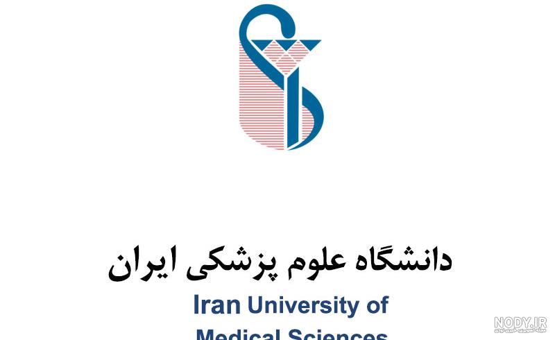 عکس دیده نشده از شعبه دانشگاه هارواد در تهران عکس دیده نشده از شعبه دانشگاه هارواد در تهران