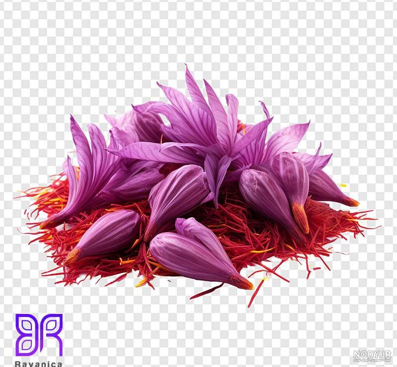 عکس png زعفران - رایانیکا | دانلود رایگان فایل لایه باز PSD