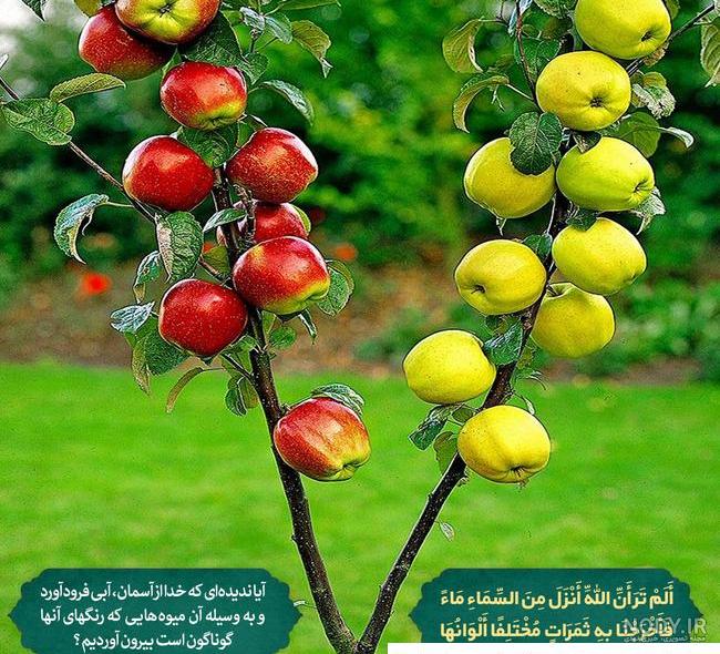 عکس طبیعت با نام خدا عکس طبیعت با نام خدا