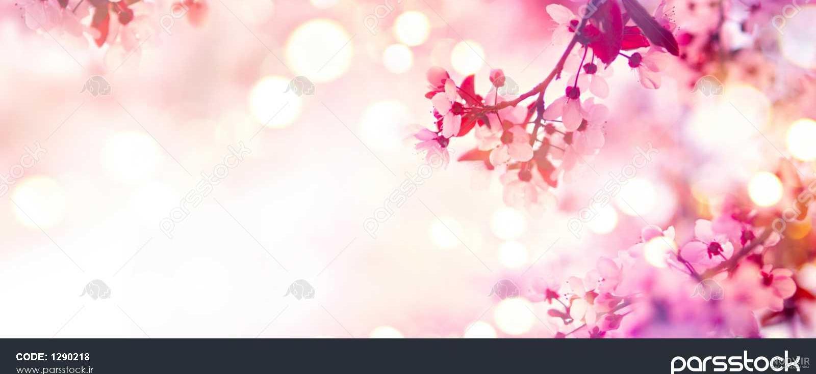 عکس طبیعت با کیفیت بالا FHD (دانلود رایگان)(4 فصل سال) عکس طبیعت با کیفیت بالا FHD (دانلود رایگان)(4 فصل سال)