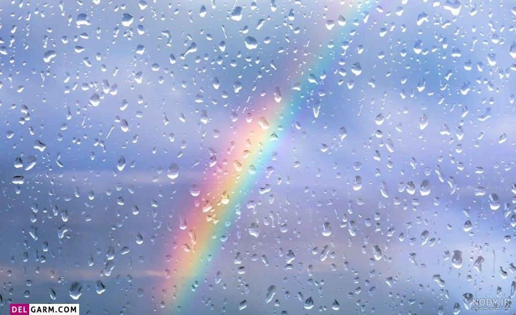 عکس های طبیعت بارانی بسیار زیبا و با طراوت عکس های طبیعت بارانی بسیار زیبا و با طراوت