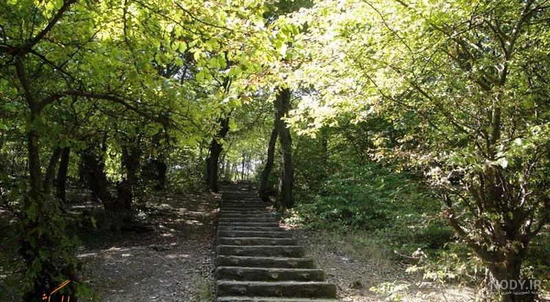 عکس طبیعت زیبای پاییزی ساری - جهان نيوز عکس طبیعت زیبای پاییزی ساری - جهان نيوز