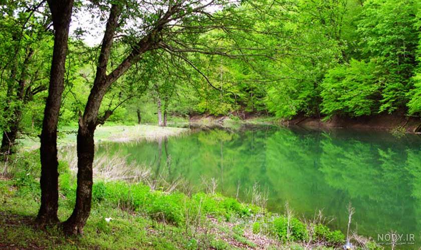 عکس طبیعت در ساری عکس طبیعت در ساری