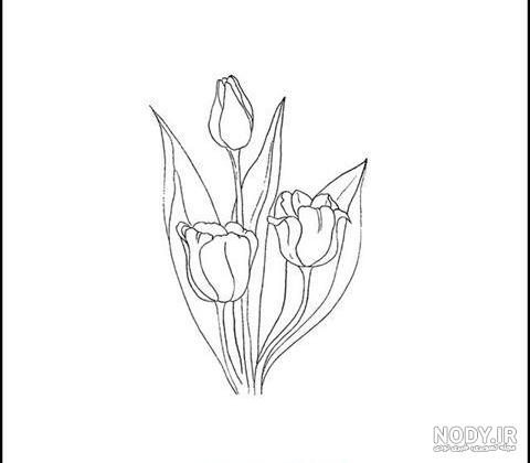 عکس طراحی گل لاله