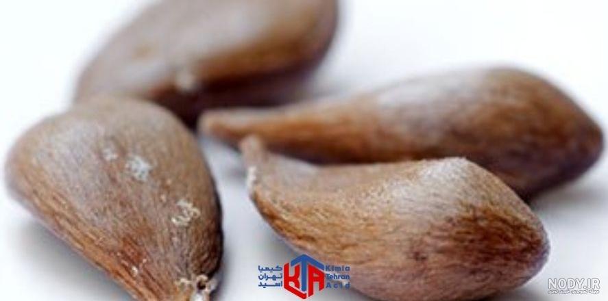 عکس قرص سیانور اصل