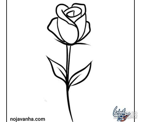 عکس نقاشی گل یاس ساده