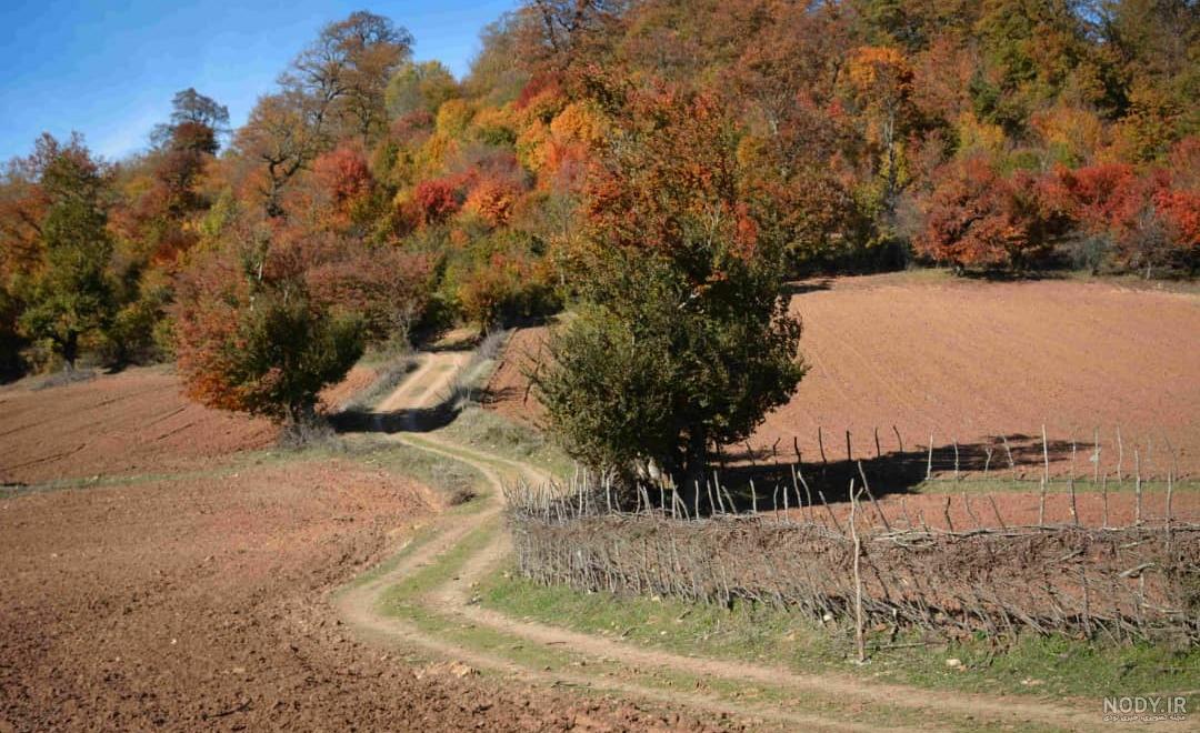 عکس هایی از طبیعت ساری عکس هایی از طبیعت ساری