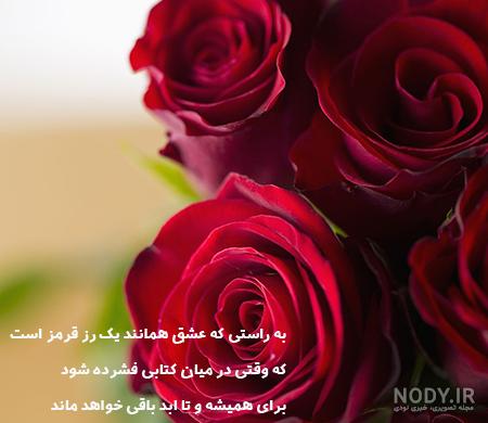 عکس پروفایل گل زیبا خفن