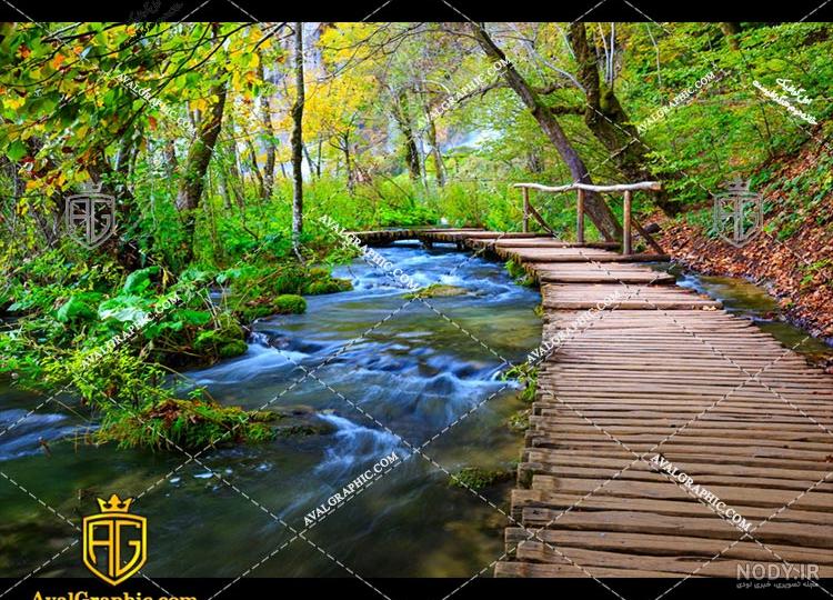 عکس پل طبیعت تهران