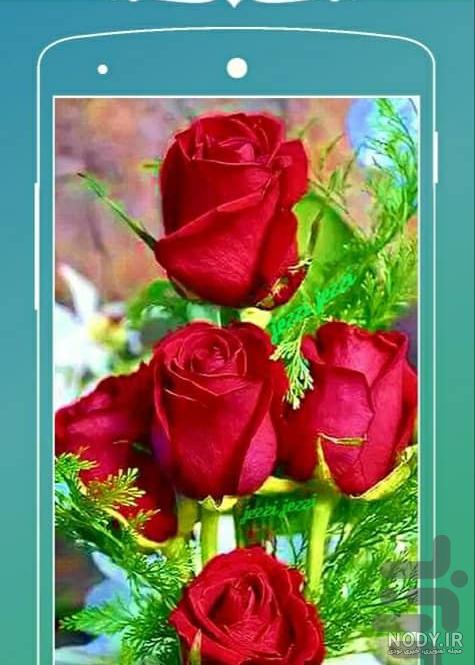 عکس گل برای تصویر زمینه - عکس نودی