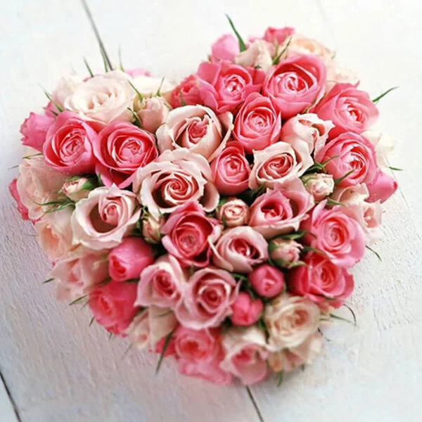 عکس گل زیبا عاشقانه جدید عکس گل زیبا عاشقانه جدید