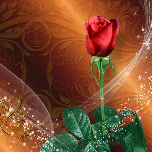 عکس گل عشق متحرک ❤️ [ بهترین تصاویر ]