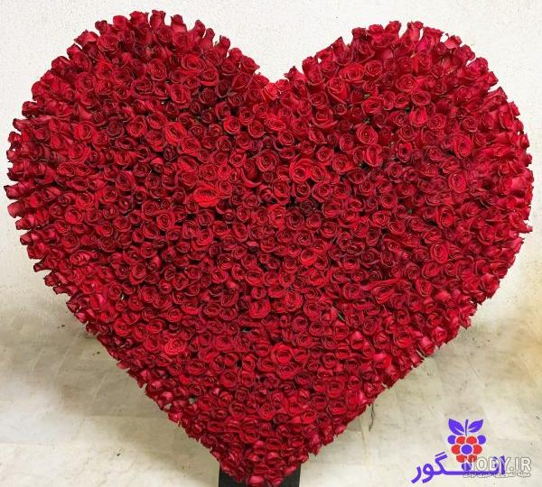 عکس گل قلبی شکل عکس گل قلبی شکل
