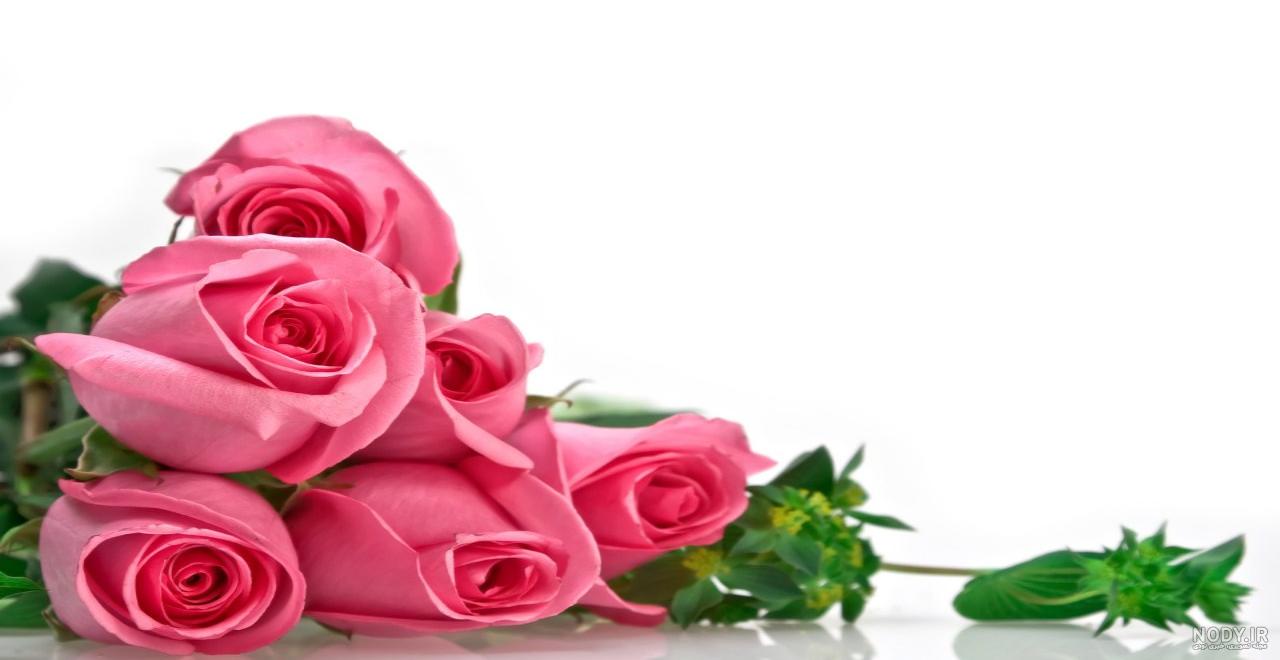 عکس گل متحرک برای پاورپوینت عکس گل متحرک برای پاورپوینت
