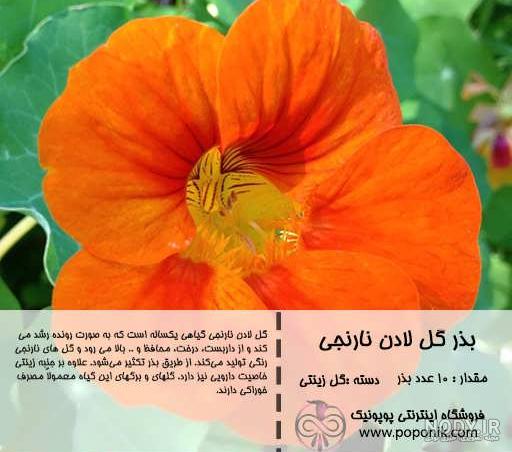 لادن به انگلیسی طرح گل های صورتی - ردپیکس