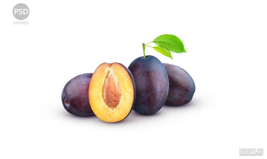 مجموعه ای از تصاویر آلو سیاه 1014919 مجموعه ای از تصاویر آلو سیاه 1014919