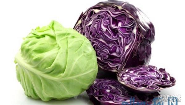 مزرعه ای با گل کلم های رنگی زیبا (عکس) | سایت گل و گیاه نارگیل مزرعه ای با گل کلم های رنگی زیبا (عکس) | سایت گل و گیاه نارگیل
