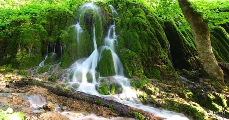 مشرق نیوز - عکس/ طبیعت بهاری زیبای چهاردانگه ساری مشرق نیوز - عکس/ طبیعت بهاری زیبای چهاردانگه ساری