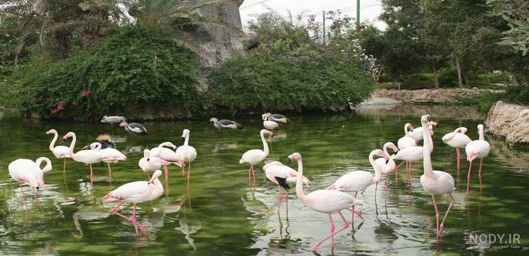 مکان‌های دیدنی طبیعی مشهد، مکان‌های مناسب برای طبیعت گردی در مشهد