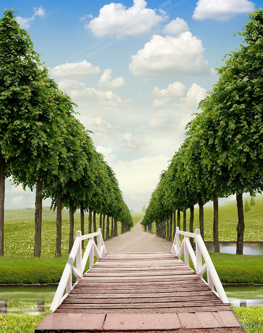 پاییز پل طبیعت | آژانس عکس تهران