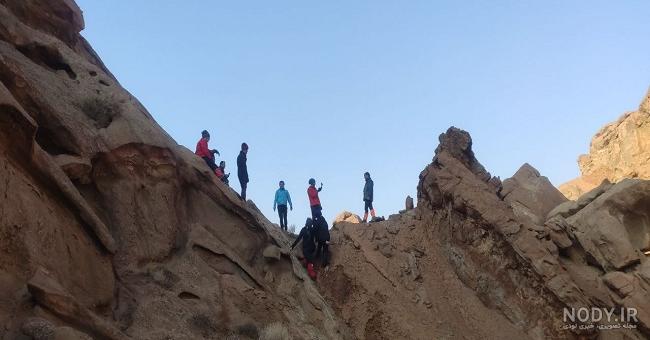 پرندگان ایران: توکای سیاه | باشگاه پرنده نگری ایرانیان پرندگان ایران: توکای سیاه | باشگاه پرنده نگری ایرانیان