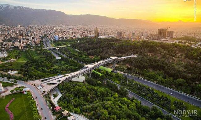 پل طبیعت تهران در یک روز برفی زیبا+عکس | بهداشت نیوز