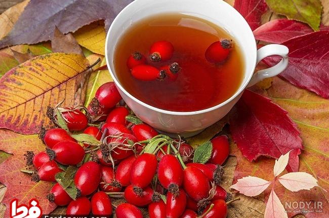 چای با گل رز جدا شده روی سفید 1077418 چای با گل رز جدا شده روی سفید 1077418